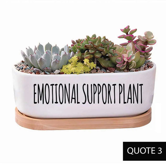 Whimsical Planter with LIVE succulents - Oval 7" - Emotional Support Plant